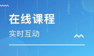 思鴻集團(tuán) 深耕職業(yè)教育市場，打造在線職業(yè)教育培訓(xùn)專業(yè)平臺與軟件開發(fā)